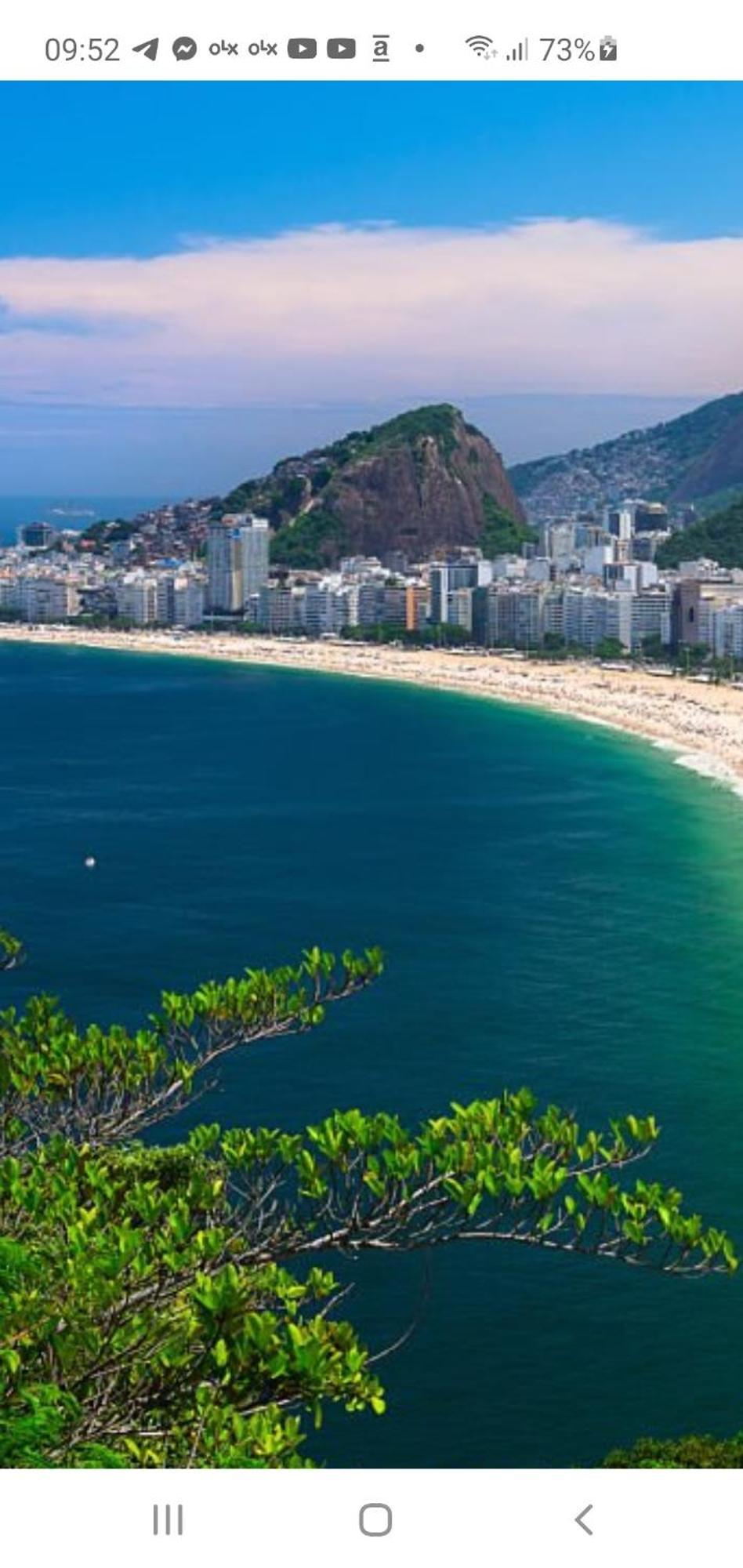 Apartemen Compartilhado Em Del Castilho